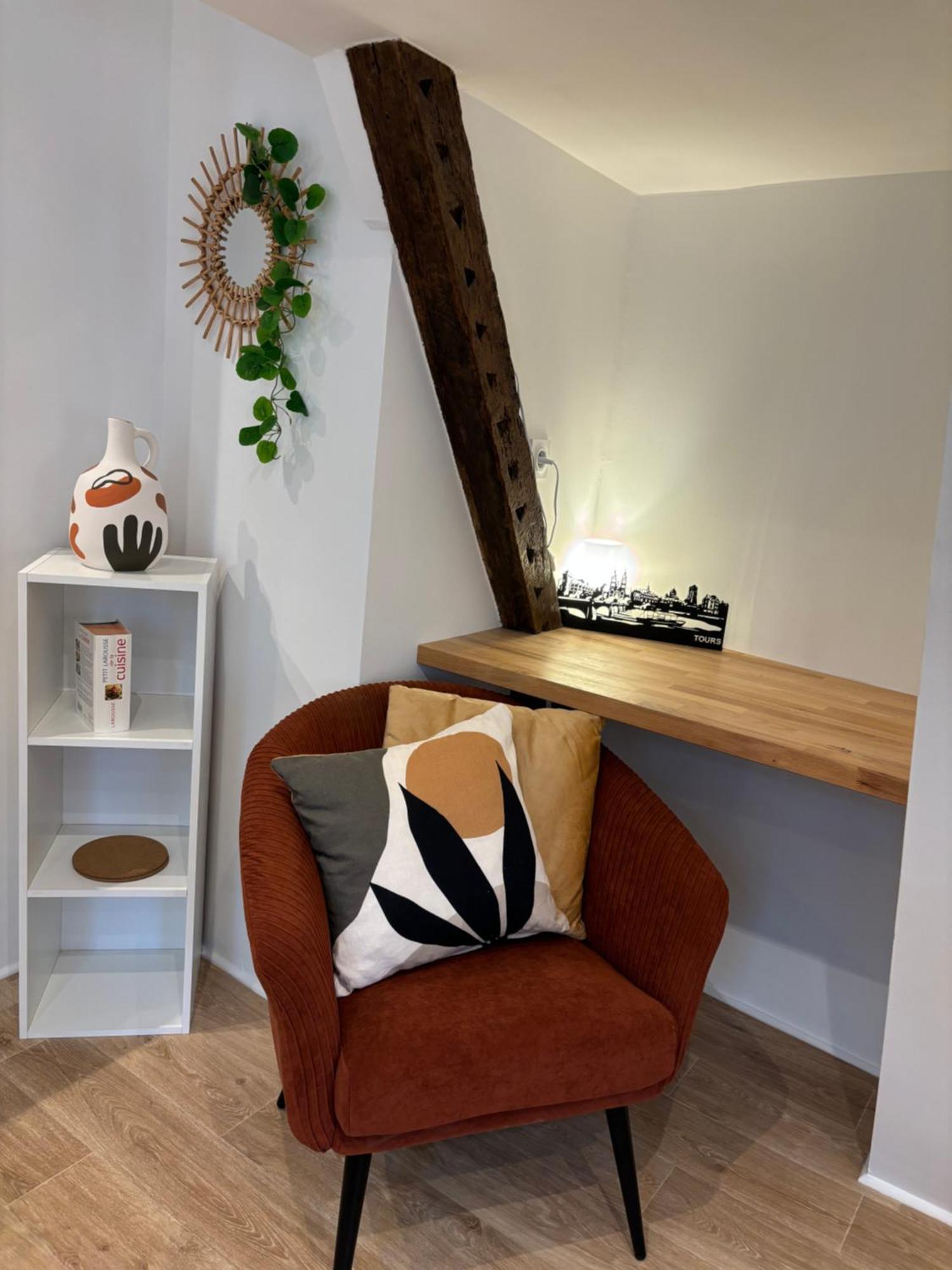 Chez Leo - Rue De La Scellerie Apartment Tours Ngoại thất bức ảnh